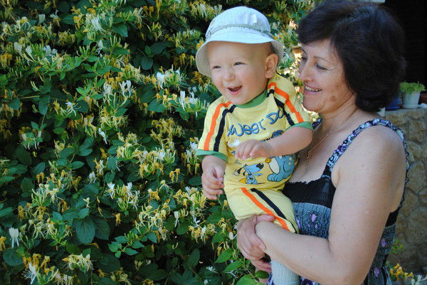 Елена Павлова