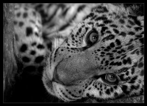 Настя Дорогина