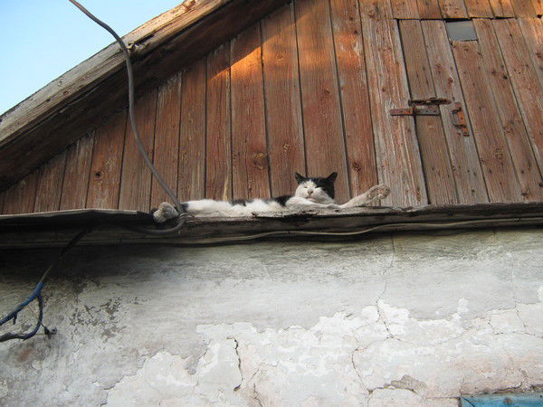 Светлана Федунец