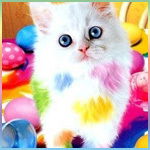 Светлана Ястребова