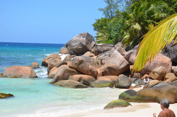 Елена Ерофеева