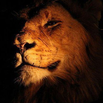 Артем Устинов