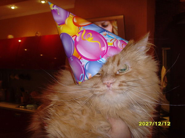 Оксана Семенова