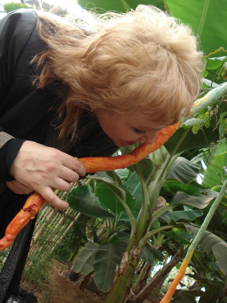 Лена Шарова