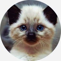 Ирина Кокорева