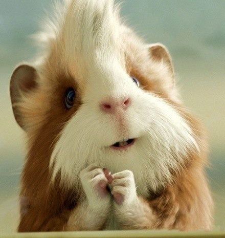 Менделеева 187