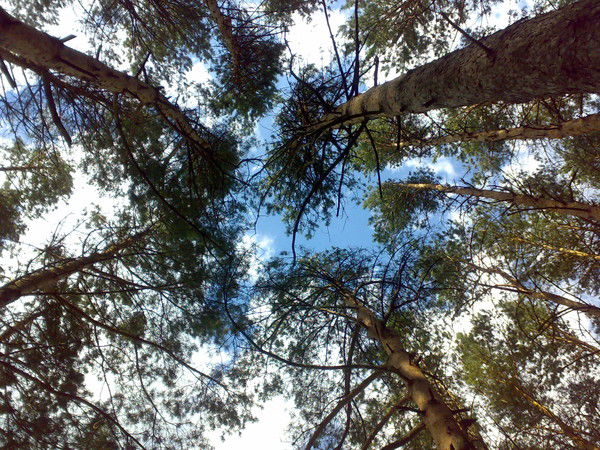 Евгений Кузнецов