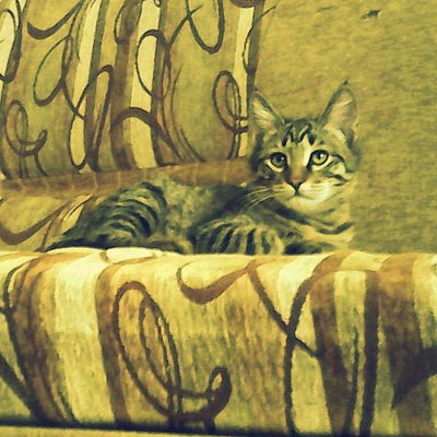 Артём Чесноков