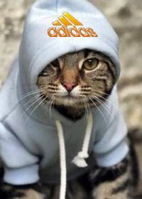 Салтанат Сарсенова