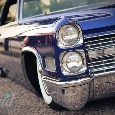 Николай Меньшиков