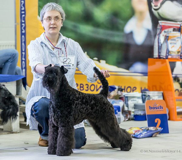 Виктория Капотина