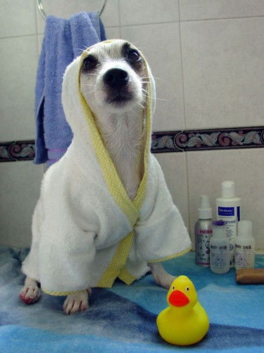 Вадим Лежебоков