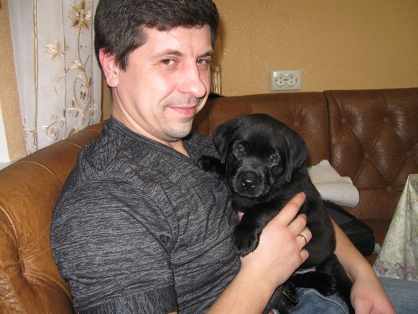 Геннадий Терещенко