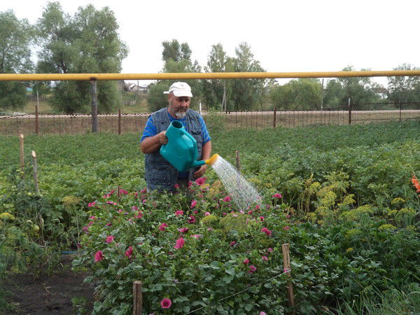 Фархат Батршин