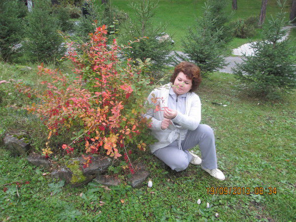 Нина Матвеева