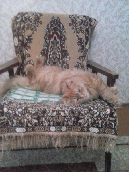 Оксана Бесфатер