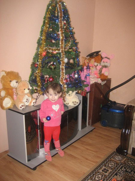 Світлана Улинець