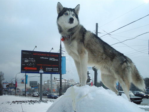 Валерий Балицкий
