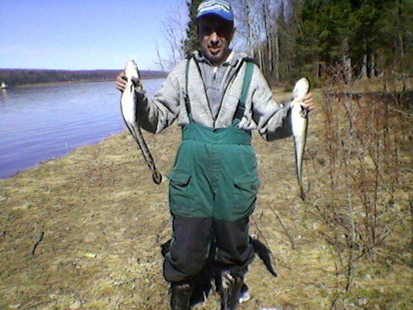 Александр Сарапулов