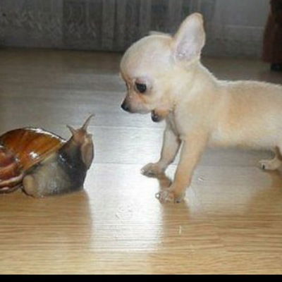 Юлия Шеметова