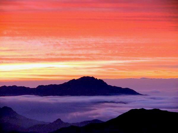 Александр Назарько