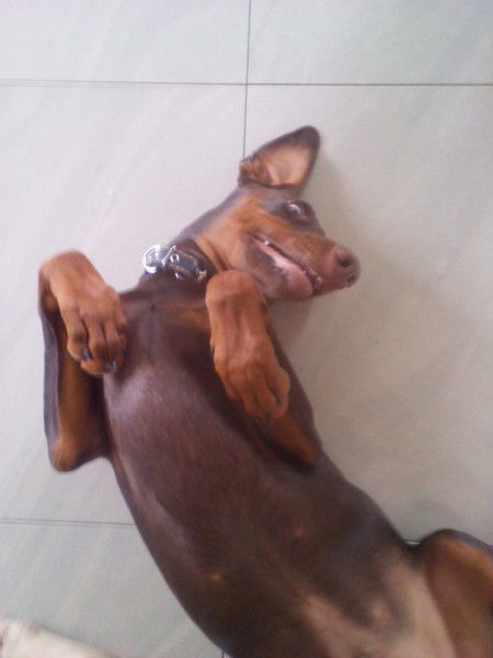 Рома Солдатенко