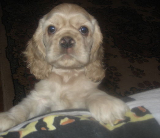 Валентина Пономарева