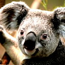 Юрий Рябинин