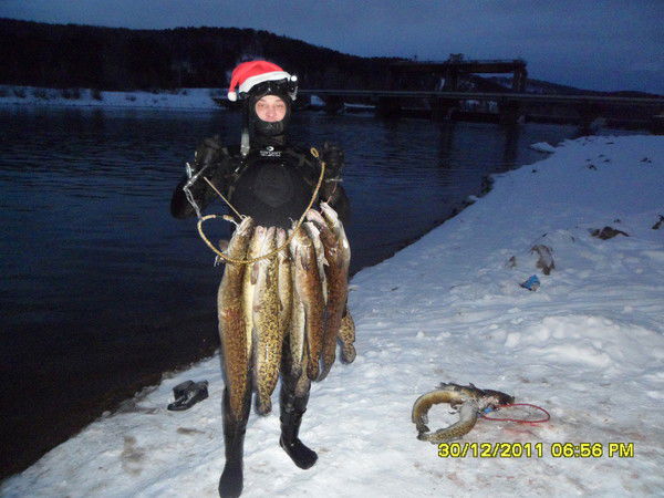 Дмитрий Лапуцкий