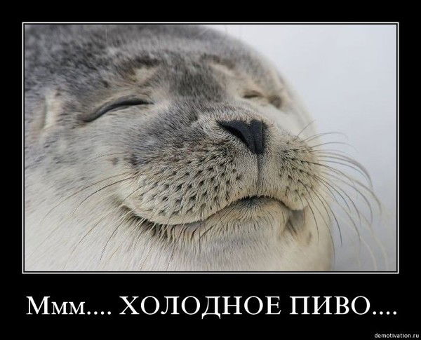 Александр Хорковец