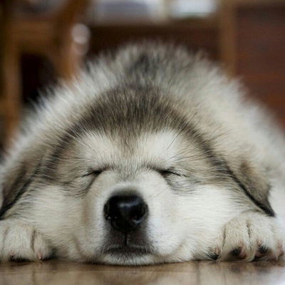 Владик Лягушенко