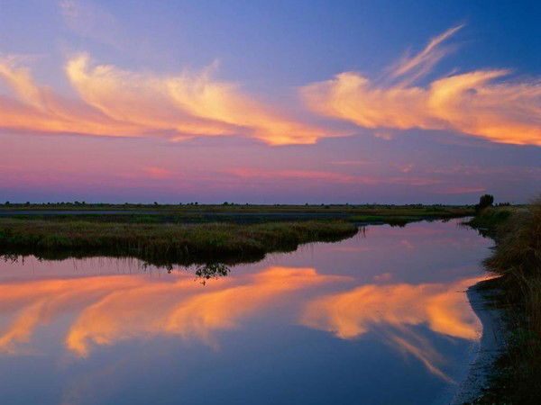 Ольга Лебедева