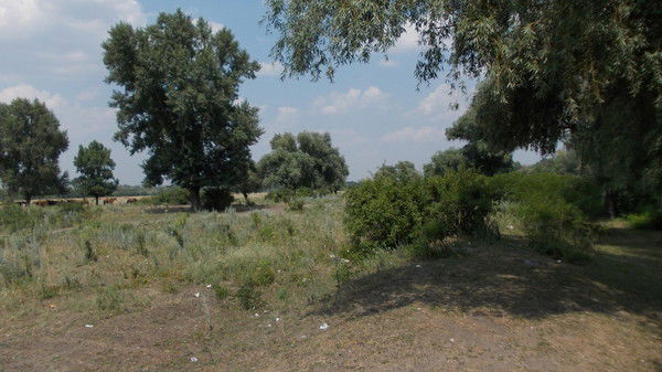 Николай Попов