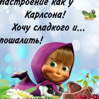 Светлана Заляева