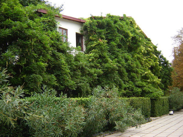 Александр Мельник