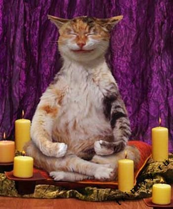 Вова Просто Вова