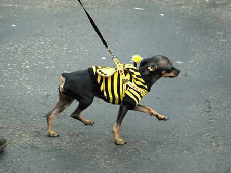 Тренд-Телеком Вагжанова Тверь