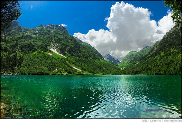 Абдумалик Абдуалиев