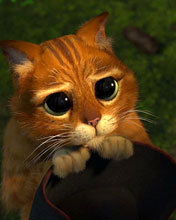 Владимир Солодов