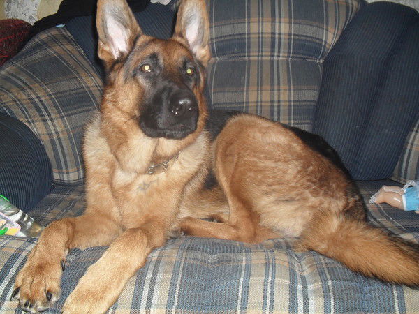 Наталия Мухина