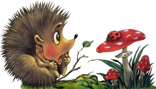 Мария Шалагинова