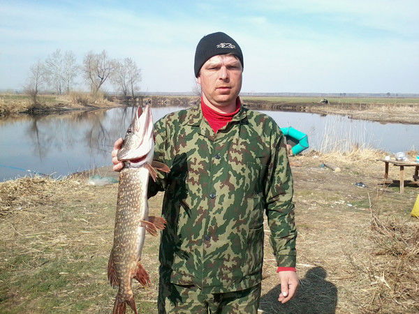 Александр Аверин