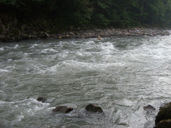 Светлана Яброва