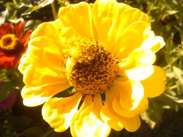 Кристина Масленникова