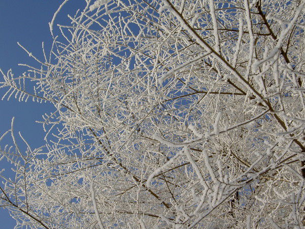 Михаил Фролов