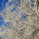 Михаил Фролов