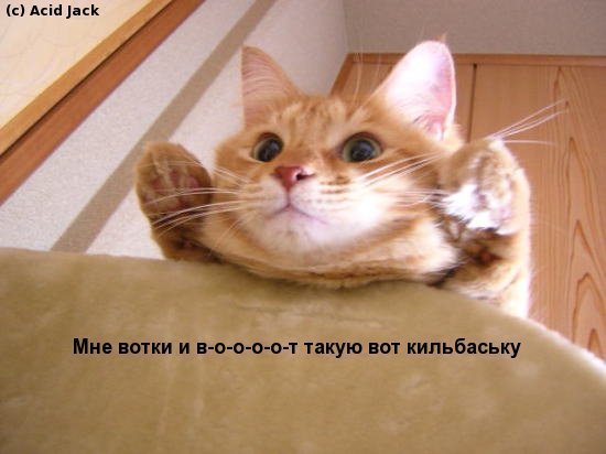 Андрей Перевалин