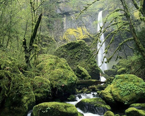 Айдар Байсапаров