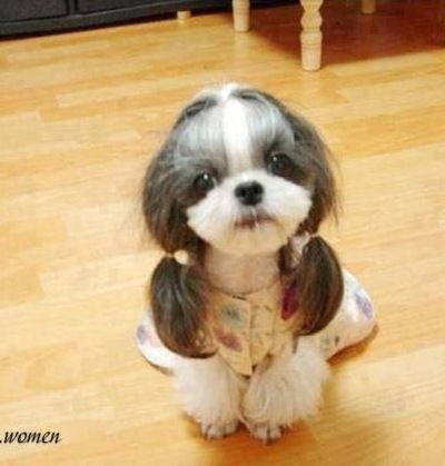 Диана Канжелева