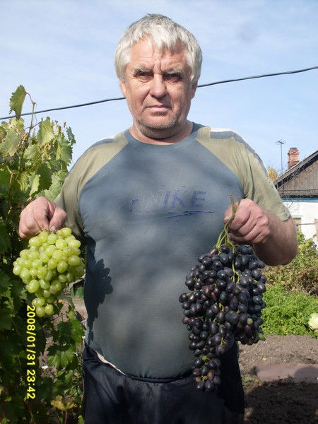 Игорь Буймов